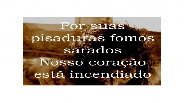 Pisaduras.pptx - página 10