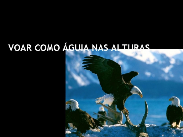SANTIDADE - Kleber Lucas - página 7