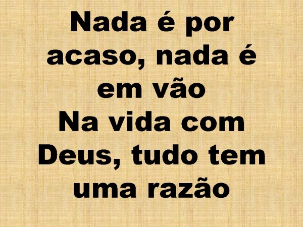 SO QUEM TEM RAIZ.pptx - página 2