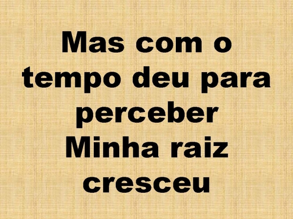 SO QUEM TEM RAIZ.pptx - página 12
