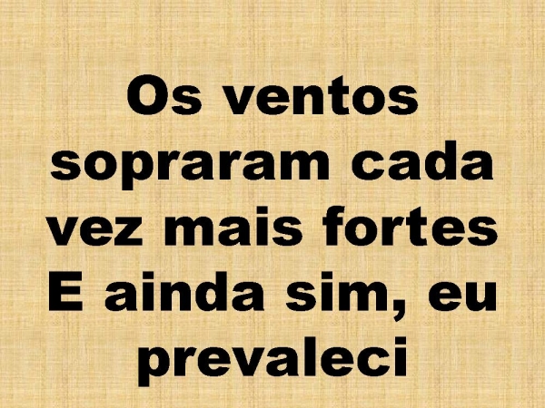 SO QUEM TEM RAIZ.pptx - página 13