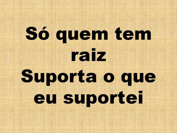 SO QUEM TEM RAIZ.pptx - página 14