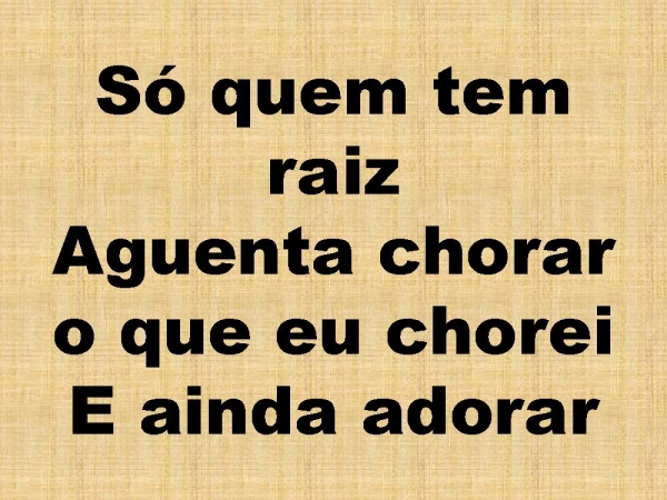 SO QUEM TEM RAIZ.pptx - página 15