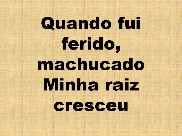 SO QUEM TEM RAIZ.pptx - página 17