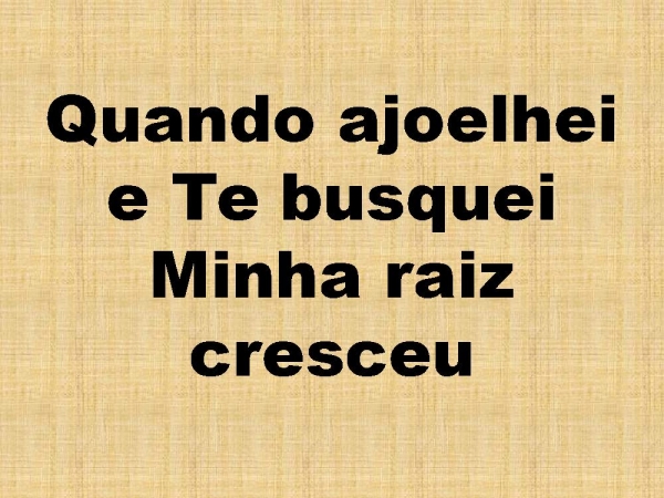 SO QUEM TEM RAIZ.pptx - página 20