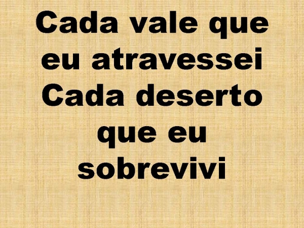 SO QUEM TEM RAIZ.pptx - página 3