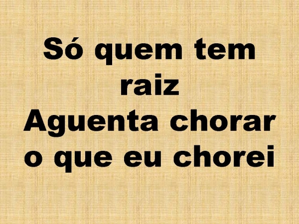SO QUEM TEM RAIZ.pptx - página 22