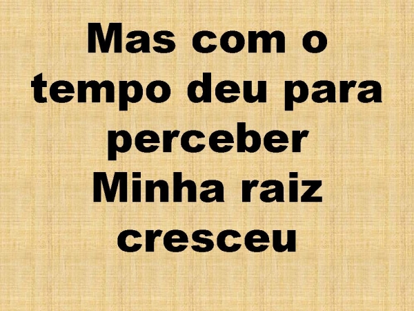SO QUEM TEM RAIZ.pptx - página 5