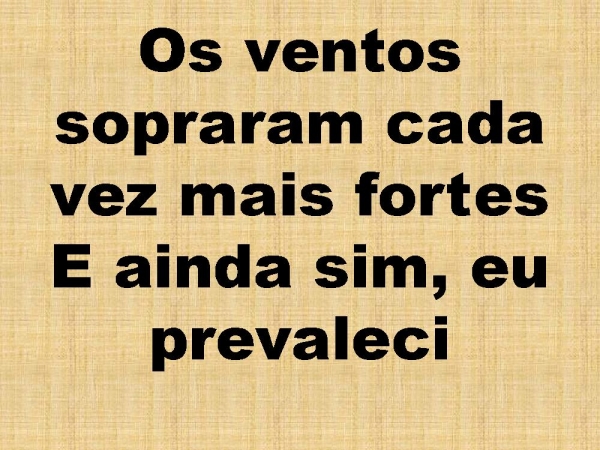 SO QUEM TEM RAIZ.pptx - página 6