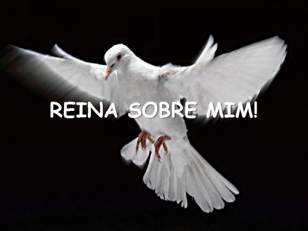 CORREREI PARA TI MEU SENHOR - página 12