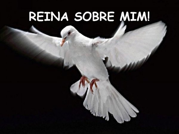 CORREREI PARA TI MEU SENHOR - página 25