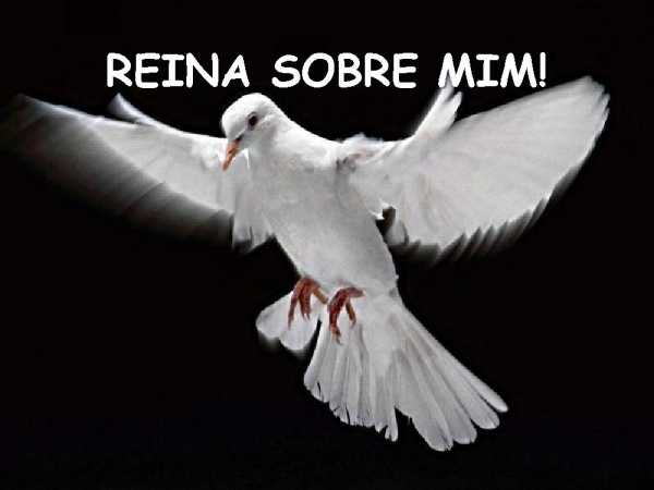 CORREREI PARA TI MEU SENHOR - página 30