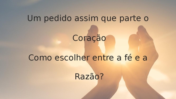 Entre a fé e a razão - Trazendo a Arca - página 13