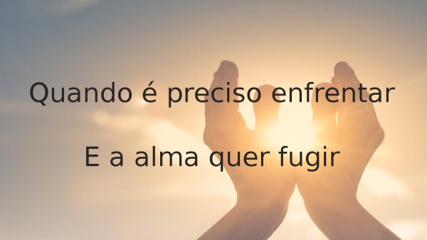 Entre a fé e a razão - Trazendo a Arca - página 15
