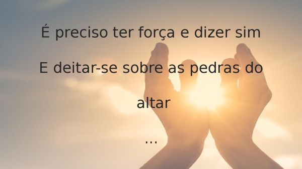 Entre a fé e a razão - Trazendo a Arca - página 23