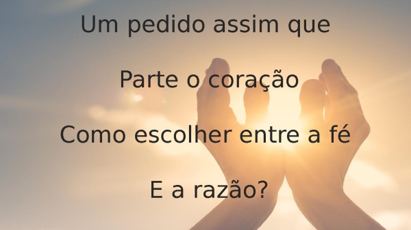 Entre a fé e a razão - Trazendo a Arca - página 5
