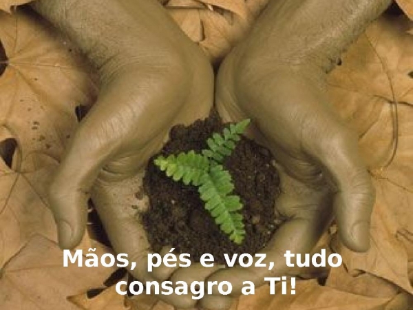 Usa Senhor todo meu ser - página 2