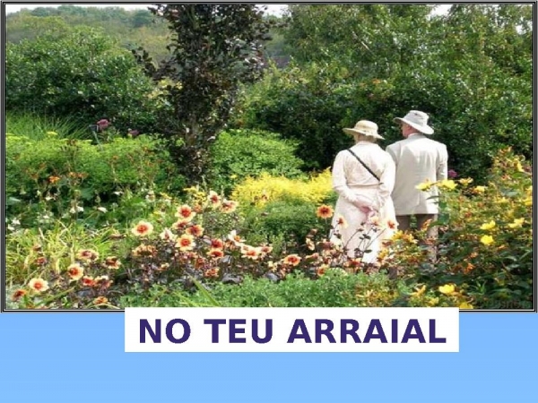 JEOVÁ É O TEU CAVALEIRO - página 16