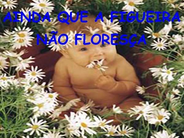 Eu Vou Seguir Com Fé - página 3