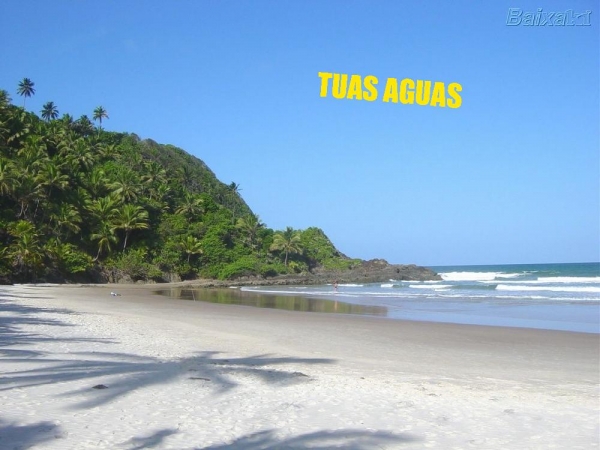 TUAS ÁGUAS - página 1