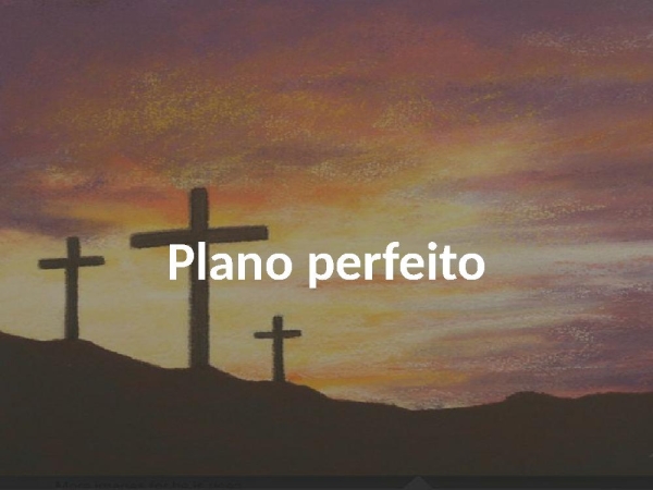 O plano perfeito