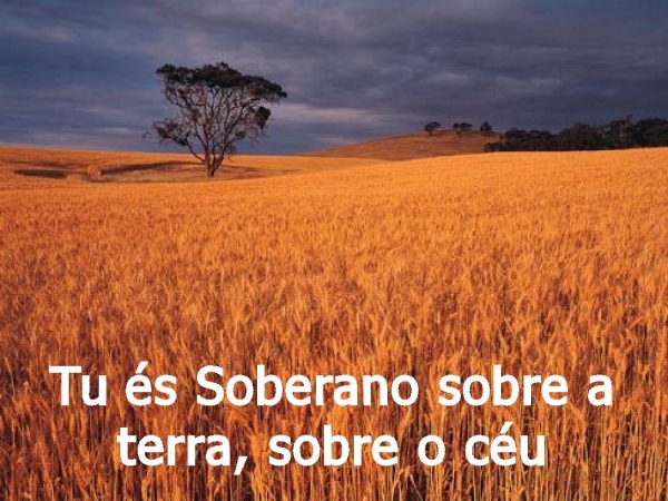 Tu és soberano sobre a terra - página 2