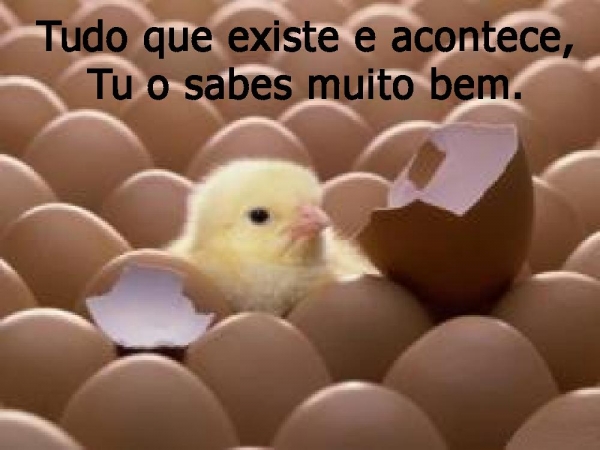 Tu és soberano sobre a terra - página 4