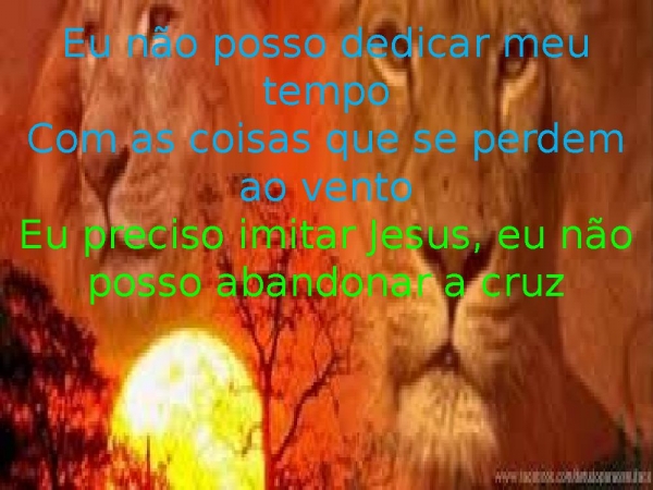 ACIMA DA MÉDIA.pptx - página 11