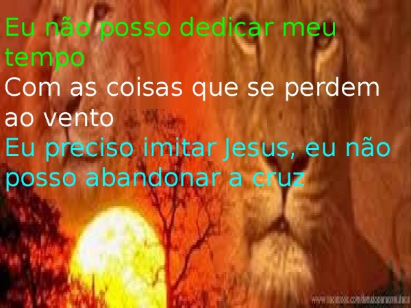 ACIMA DA MÉDIA.pptx - página 13