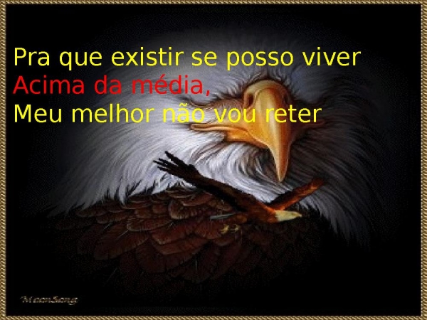 ACIMA DA MÉDIA.pptx - página 7