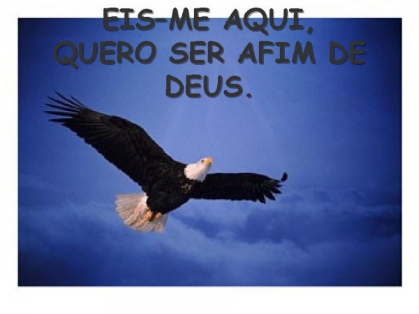 EIS-ME AQUI - página 16