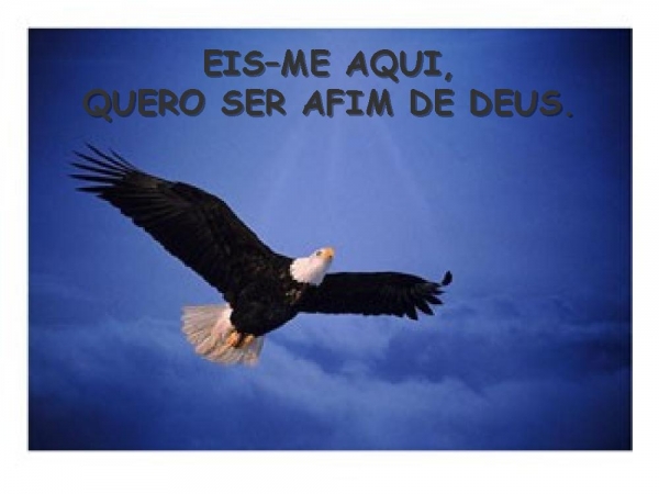 EIS-ME AQUI - página 6
