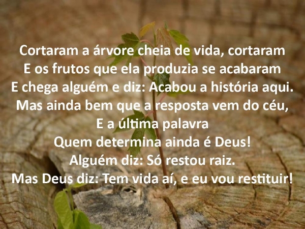 Arvore cortada.pptx