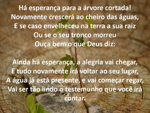 Arvore cortada.pptx - página 2