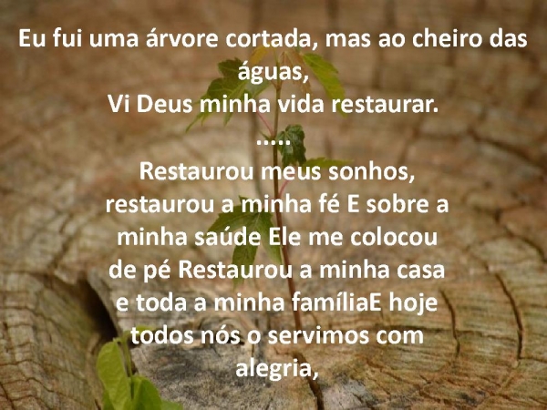 Arvore cortada.pptx - página 5