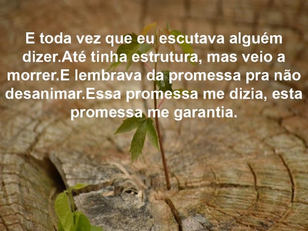 Arvore cortada.pptx - página 6