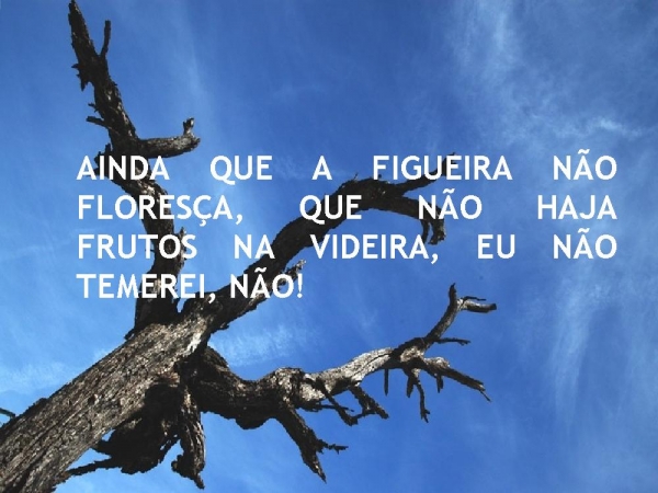 VOU SEGUIR COM FÉ - página 2