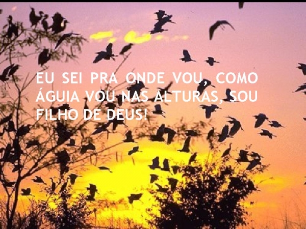 VOU SEGUIR COM FÉ - página 6