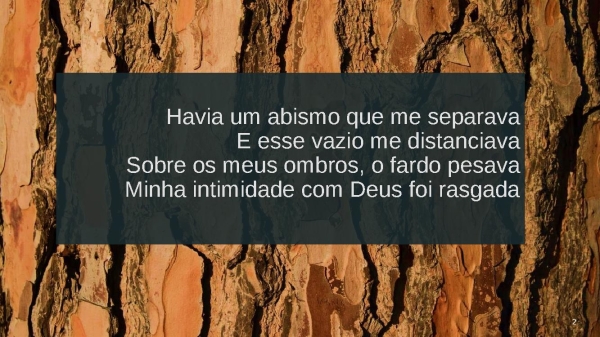 MEU CARPINTEIRO - página 2