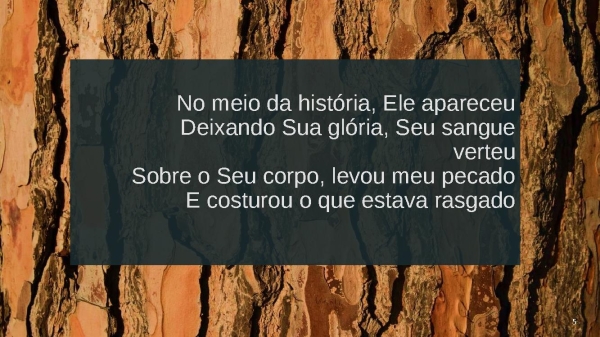 MEU CARPINTEIRO - página 5