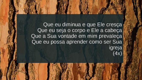 MEU CARPINTEIRO - página 7