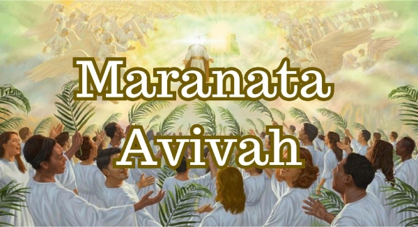 MARANATA - página 1