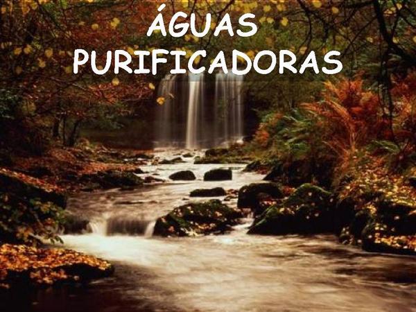 Águas Purificadoras