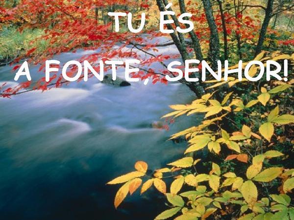 Águas Purificadoras - página 12