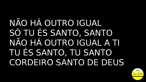 Santo - página 14