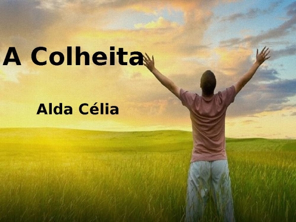 A Colheita - ALDA CÉLIA.pptx