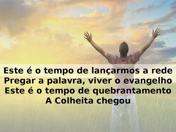 A Colheita - ALDA CÉLIA.pptx - página 4