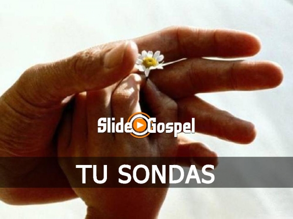Teus olhos revelam que eu - página 1
