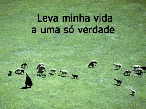 Teus olhos revelam que eu - página 6