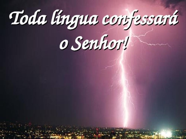 Vem, Está é a Hora - Vineyard - página 20